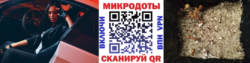 купить наркотик  Владивосток  Галлюциногенные грибы мухоморы 